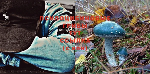 твердый Абаза